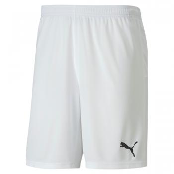 PUMA Teamgoal 23 Knit Shorts